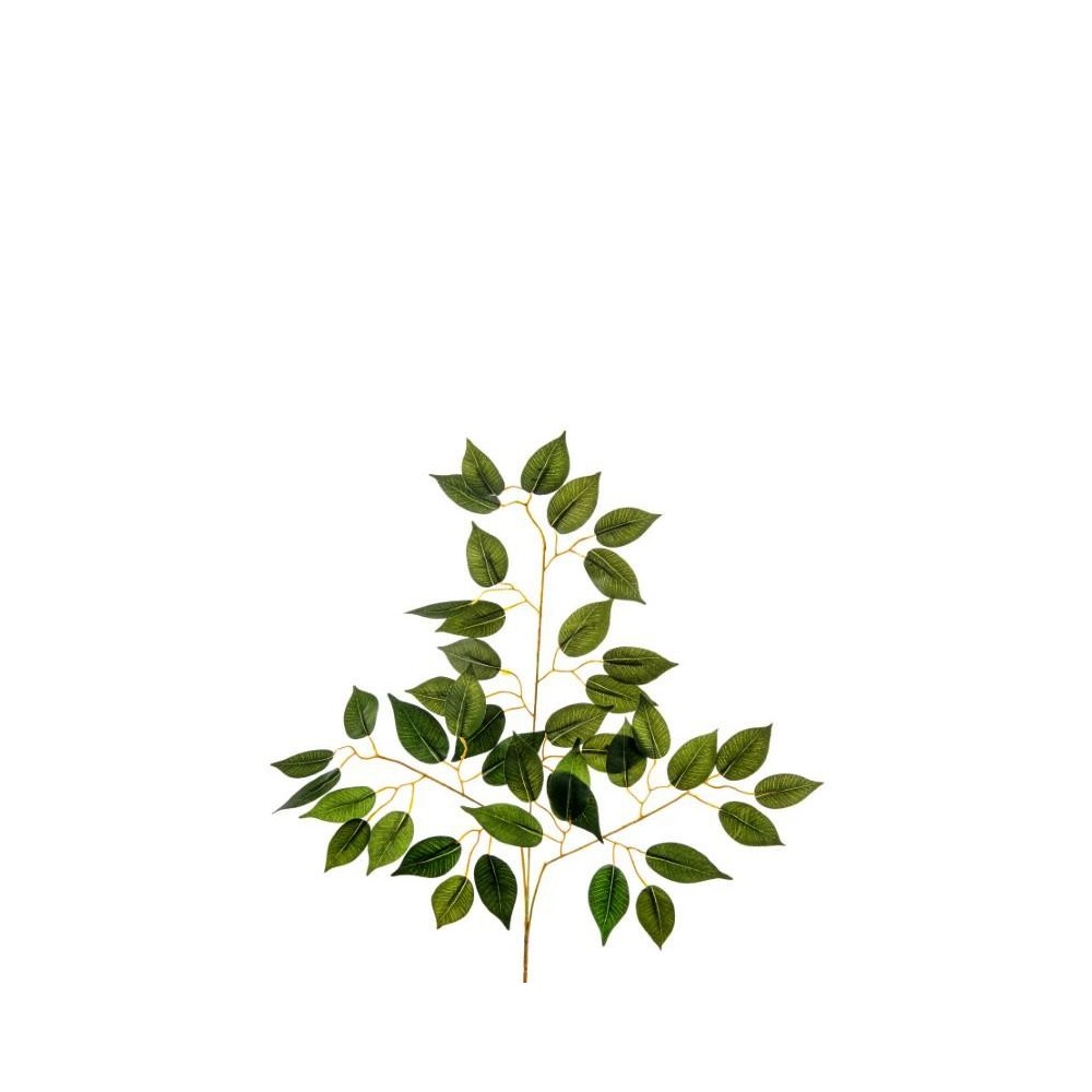 FOGLIA FICUS X42 H56